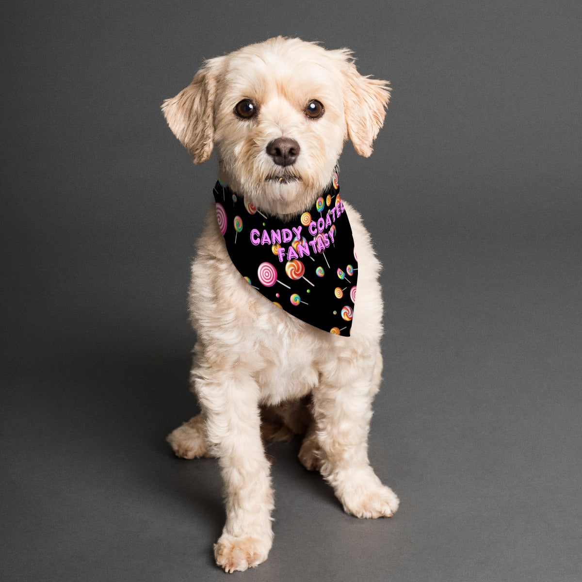 Candy Coated Fantasy  Print Pet's Scarf